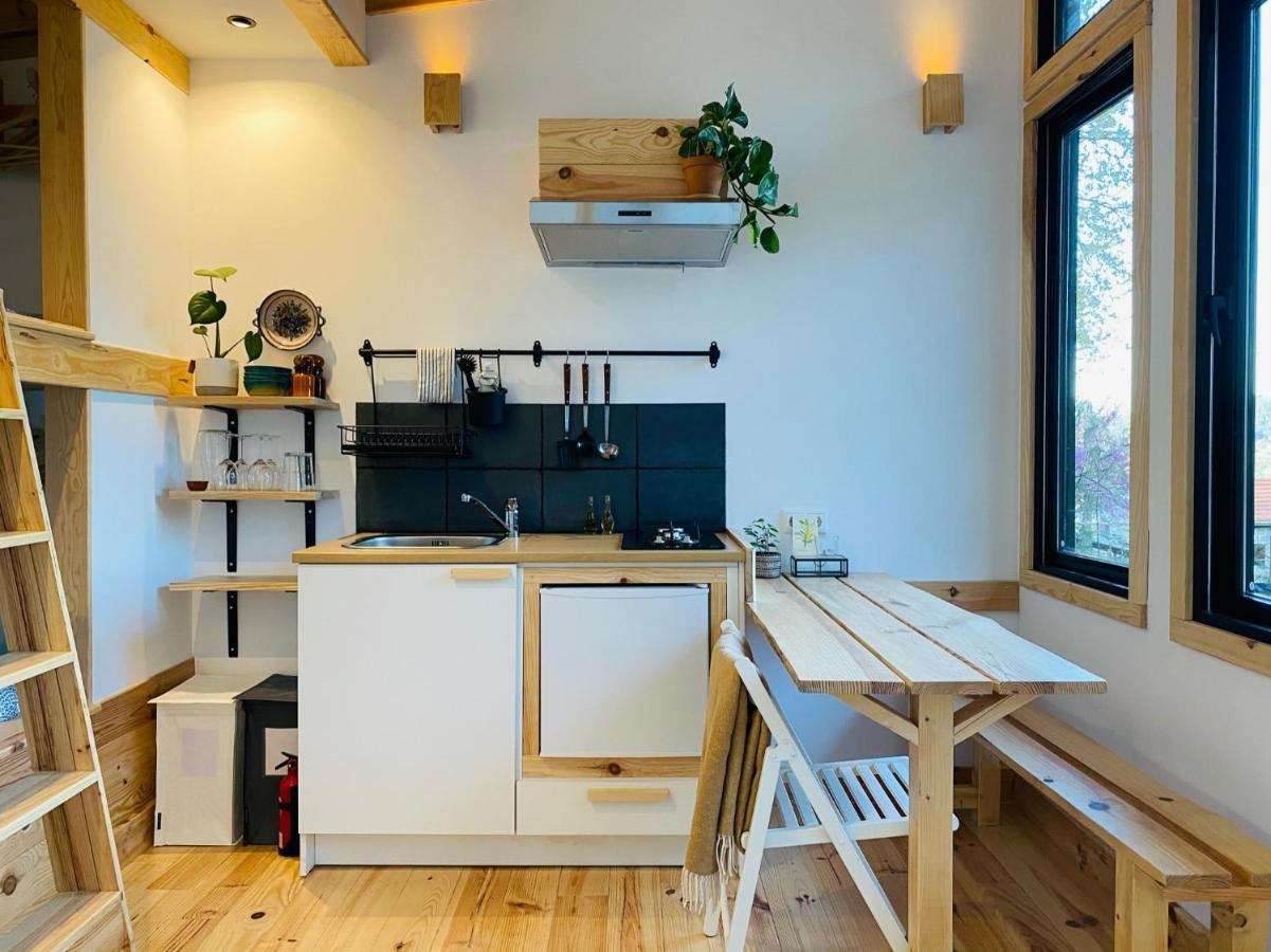Land Of Deveza - Tiny Houses Sao Pedro do Sul Exterior photo